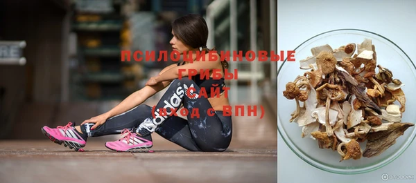 первитин Абинск