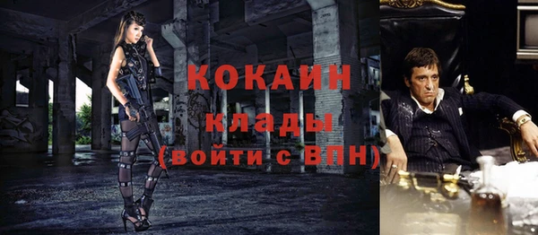молекула духа Медвежьегорск