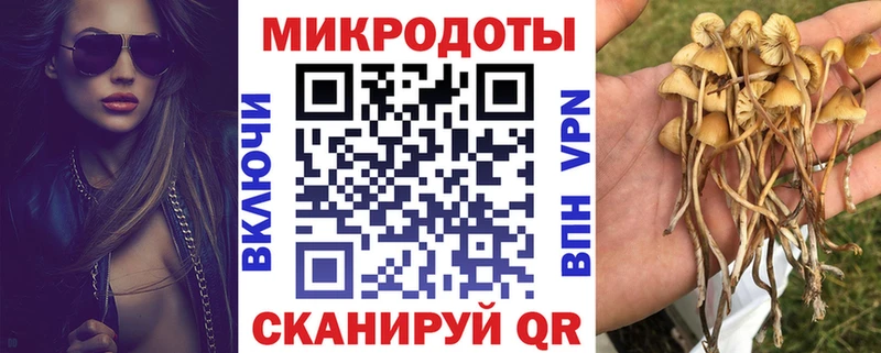 Псилоцибиновые грибы прущие грибы  Сысерть 